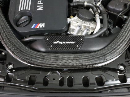 Magnum FORCE Stage-2 Intake System Carbon Fiber Trim Piece