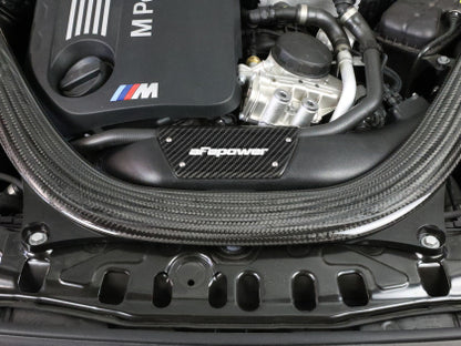 Magnum FORCE Stage-2 Intake System Carbon Fiber Trim Piece