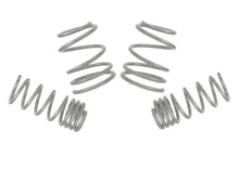 Coil Springs - Lowered