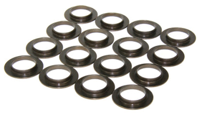 OEM Replacement Valve Spring Seat Set